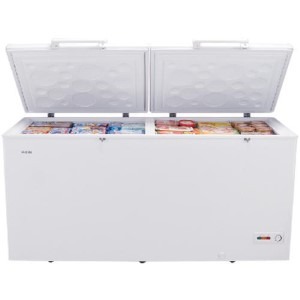 Chest Freezer 598L